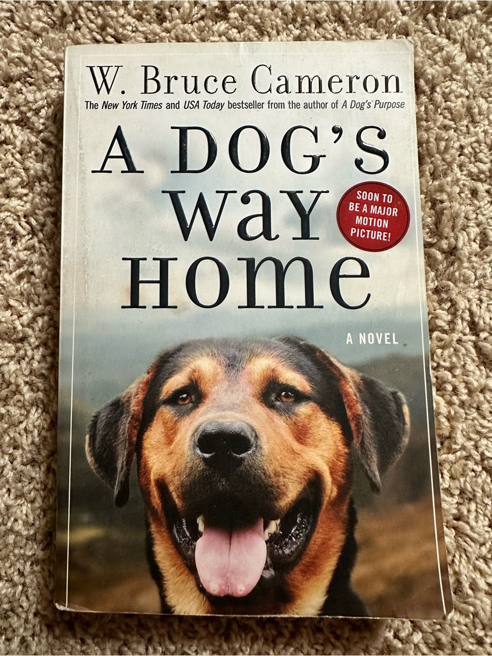 A Dog's Way Home — Scenic Mountain Back Cover, Blue & Tan